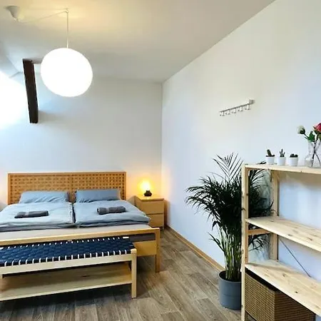 P6 - Familienwohnung Am Park Und Saale Halle  Exterior photo
