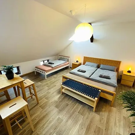 P6 - Familienwohnung Am Park Und Saale Halle  Exterior photo