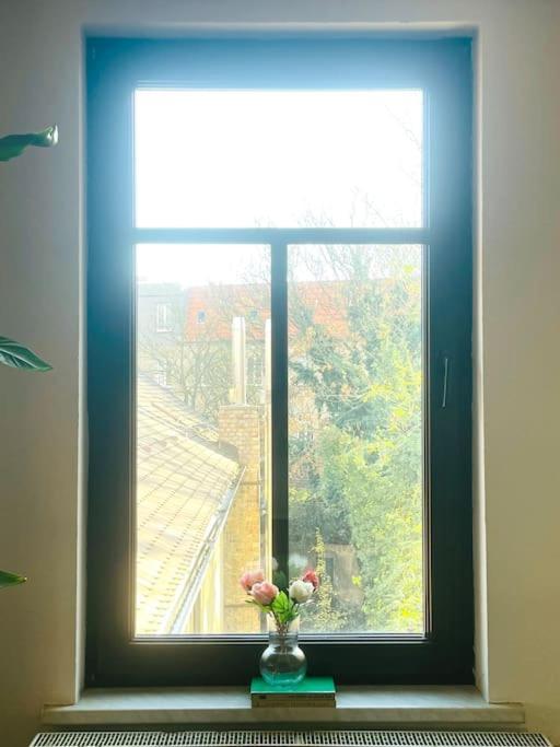 P6 - Familienwohnung Am Park Und Saale Apartment *
