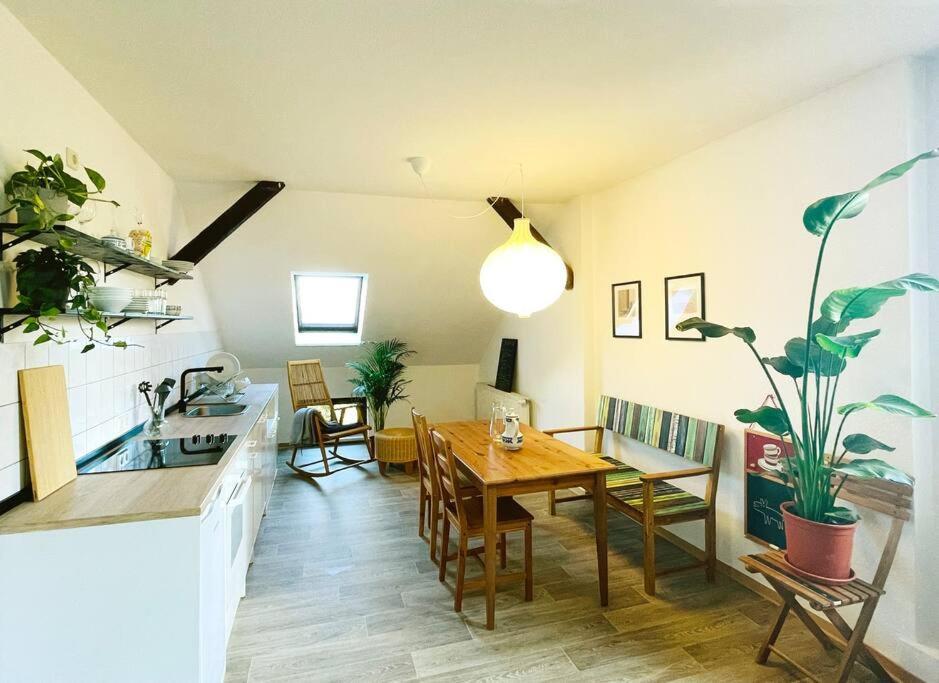 P6 - Familienwohnung Am Park Und Saale *