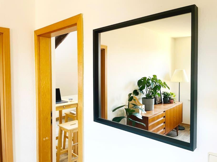 P6 - Familienwohnung Am Park Und Saale Apartment *