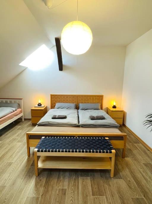 Apartment P6 - Familienwohnung Am Park Und Saale *