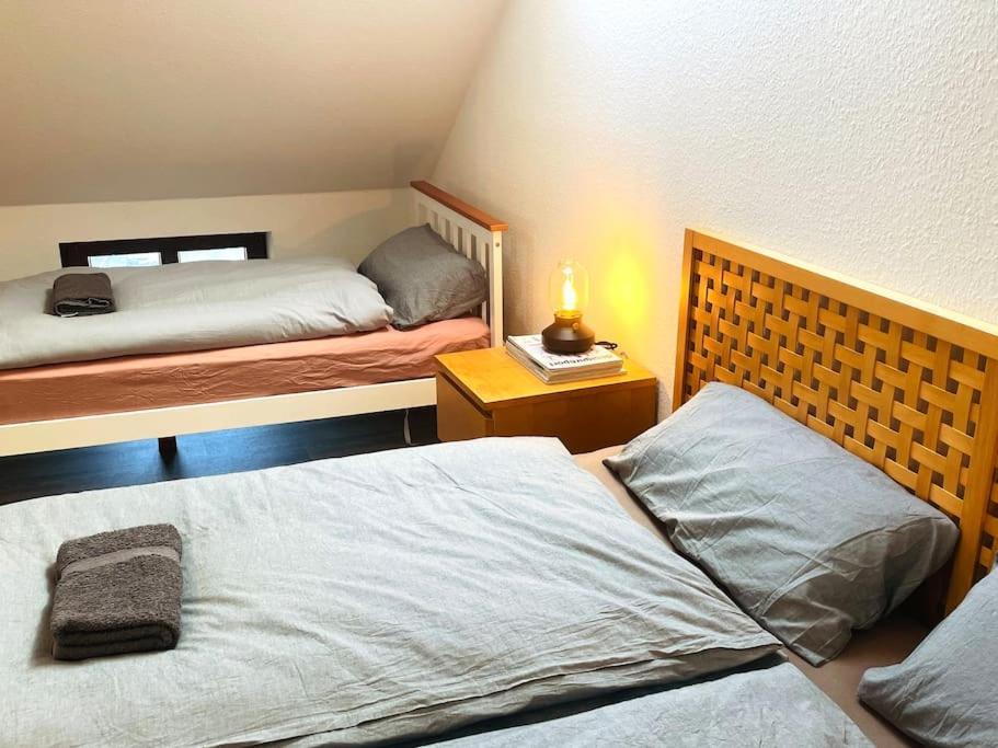 P6 - Familienwohnung Am Park Und Saale