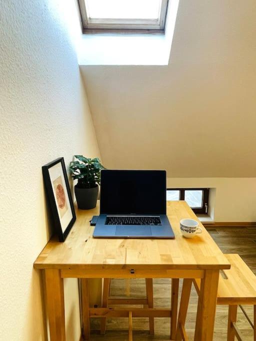 P6 - Familienwohnung Am Park Und Saale Halle (Saale)