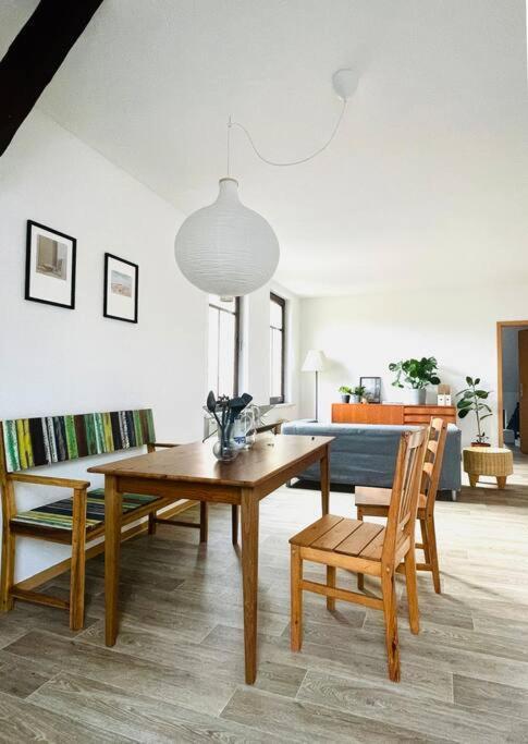 Apartment P6 - Familienwohnung Am Park Und Saale Halle (Saale)