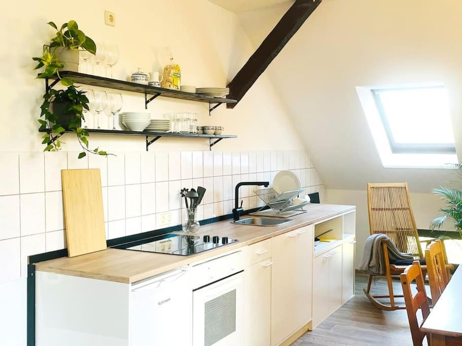 P6 - Familienwohnung Am Park Und Saale * Halle (Saale)