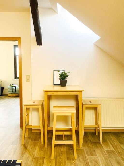 Apartment P6 - Familienwohnung Am Park Und Saale Halle (Saale)