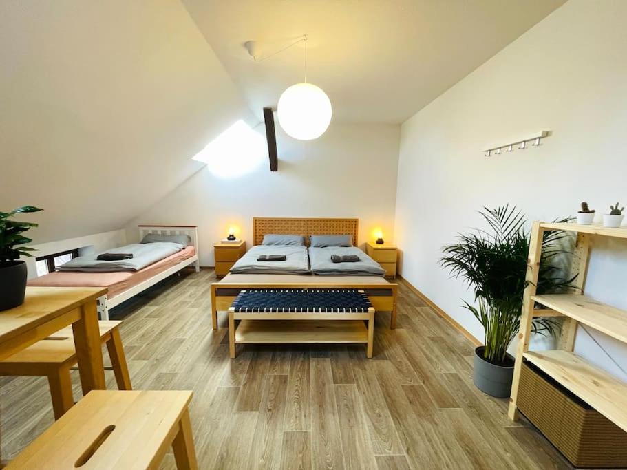 P6 - Familienwohnung Am Park Und Saale Apartment *