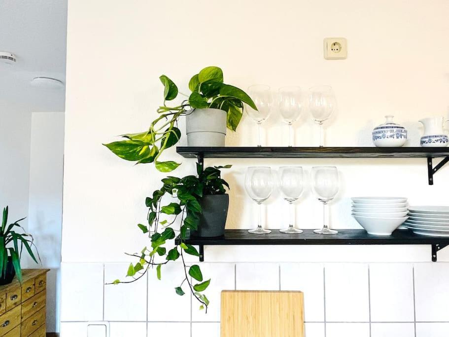Apartment P6 - Familienwohnung Am Park Und Saale