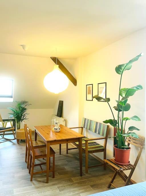 P6 - Familienwohnung Am Park Und Saale *