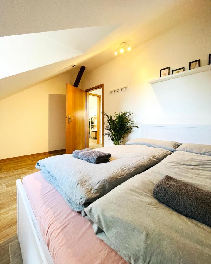 P6 - Familienwohnung Am Park Und Saale Apartment