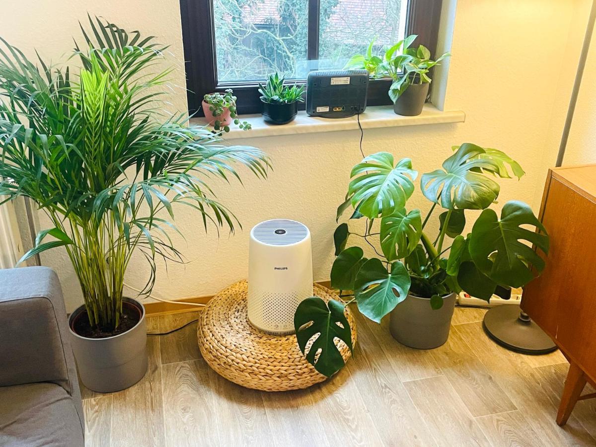 P6 - Familienwohnung Am Park Und Saale Apartment