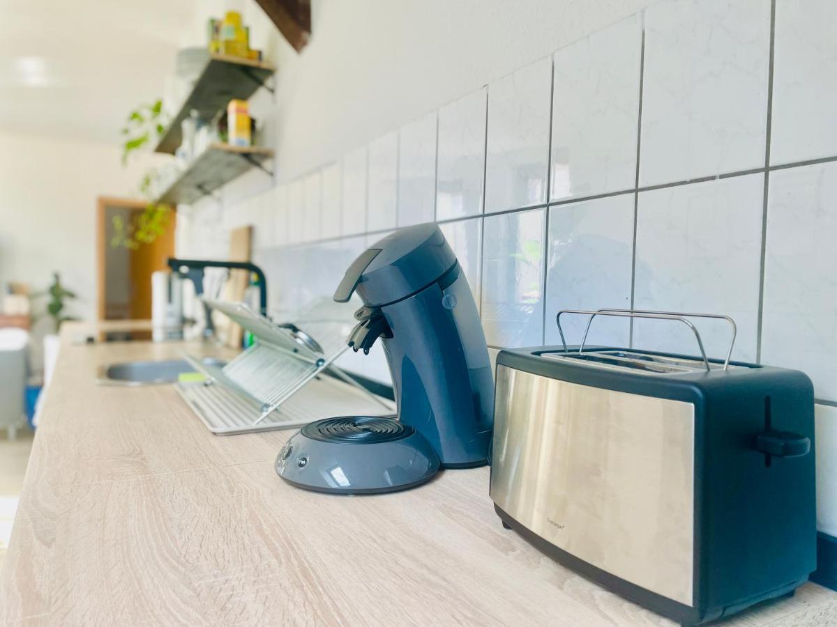 P6 - Familienwohnung Am Park Und Saale * Halle (Saale)
